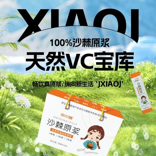 宋家沟铝箔袋沙棘原浆便携装1.8kg30ml*5*12 商品图2