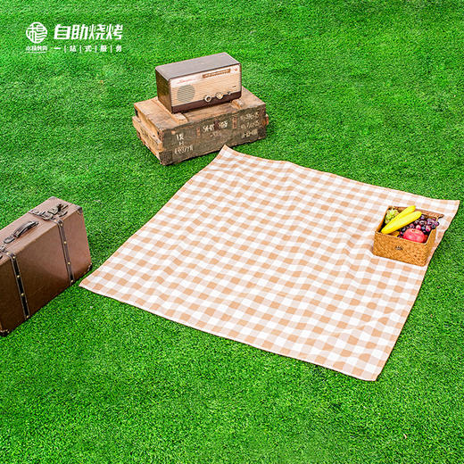 精品野餐垫 商品图0