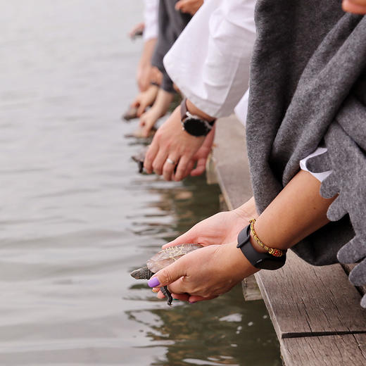 新年新生 生生不息 商品图5