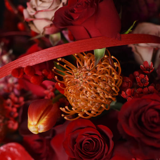 《福气满满》中号冬青粉菠萝大花蕙兰年宵花 商品图8