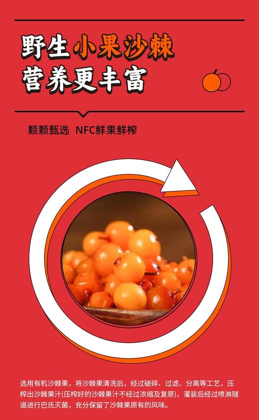 宋家沟 铝箔袋沙棘有机原浆2kg500ml*4 商品图4
