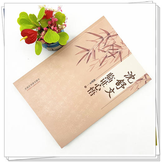 沈舒文临证心悟 沈舒文 著 中国中医药出版社 中医临床 书籍 商品图1