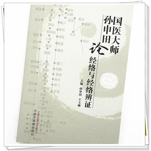 国医大师孙申田论经络与经络辨证 孙申田 王玉琳 主编 中国中医药出版社 中医临床 书籍 商品图3