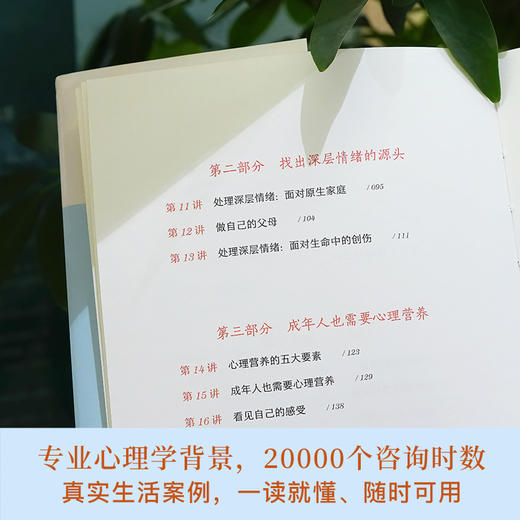 [林文采三部曲] 情绪疗愈+心理营养+亲密关系课 共3册 商品图2