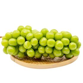 香印青提礼盒 约1.8kg/件