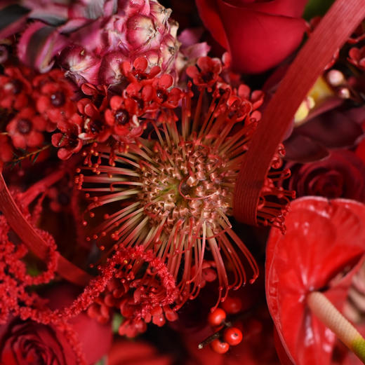 《福气满满》中号冬青粉菠萝大花蕙兰年宵花 商品图7