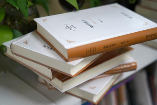 《律师的意义》 章敬平 著 商务印书馆 商品图8