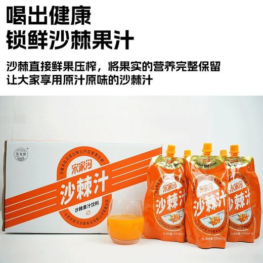 宋家沟铝箔袋沙棘汁礼盒3kg500ml*6 商品图4