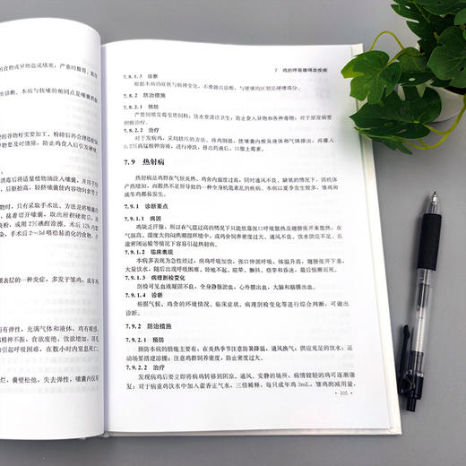 鸡常见病症状鉴别诊治 【官方正版，可开发票，下单时留开票信息和电子邮箱】 商品图2