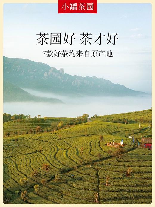 小罐茶园 经典组合茶内含50小袋7种经典好茶 商品图9