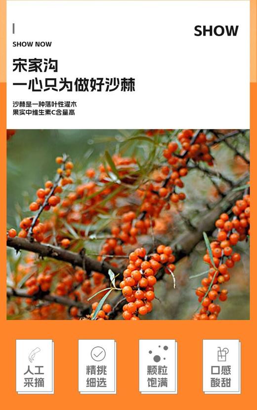 宋家沟沙棘枸杞复合果汁3.6kg300ml*12 商品图5