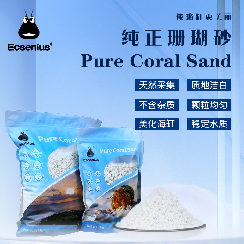 因克塞斯进口珊瑚沙 天然采集