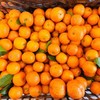 砂糖橘 商品缩略图0