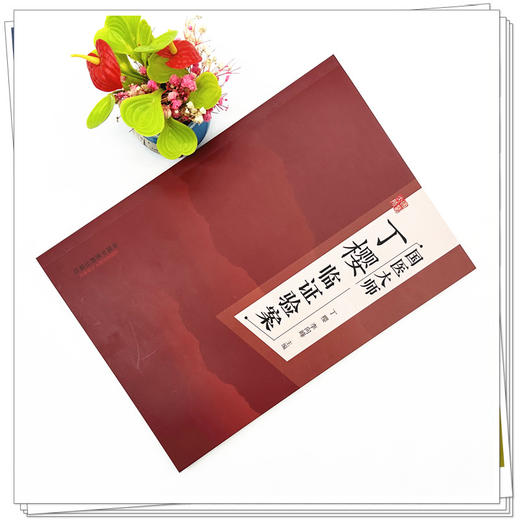 国医大师丁樱临证验案 丁樱 李向峰 主编 中国中医药出版社 中医临床 书籍 商品图1