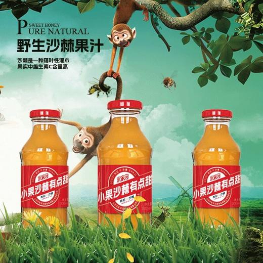 宋家沟沙棘枸杞复合果汁3.6kg300ml*12 商品图2