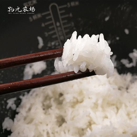 物元农场 有机火山岩大米5斤 当季新米现磨粳米 东北大米 商品图3