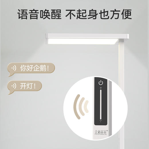 企鹅爸爸定制款大路灯--全光谱 商品图4