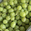 【甜地球】澳洲甜地球青提，无籽青提，果型圆硬度好，入口脆，甜度好！ 商品缩略图0