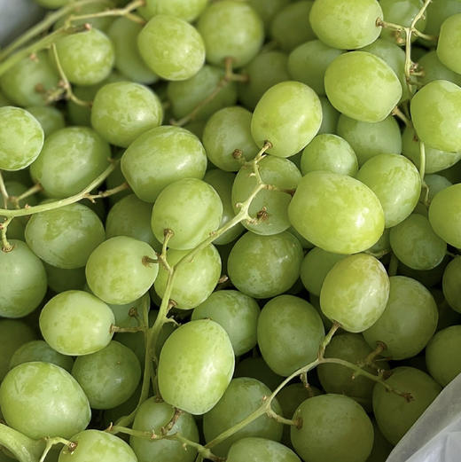 【甜地球】澳洲甜地球青提，无籽青提，果型圆硬度好，入口脆，甜度好！ 商品图0