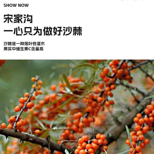 宋家沟百分百沙棘复合果汁2.6kg318ml*8 商品图1