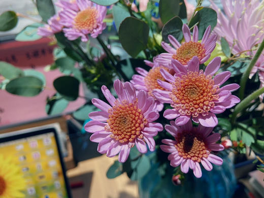 精选瓶花•【烟花绽放】温暖精品系列〔下单新鲜搭配〕不加花瓶 商品图7