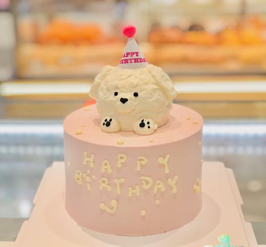 帕恰狗 商品图0