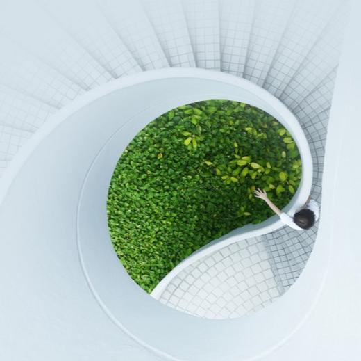 OCTAVE Light Body Detoxification Pure Journey  (3D2N) 商品图0