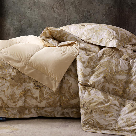 丽芙城堡可水洗鹅绒春秋被 商品图1