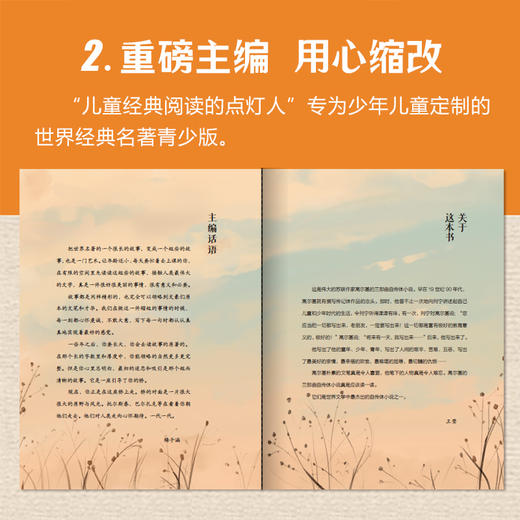 童年 在人间 我的大学 商品图4