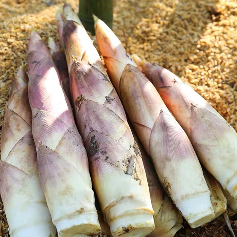 【春笋】仅春季限定产出，临安深山竹林现挖去老根发货，赏味期只有二十天，鲜嫩脆爽，这鲜嫩的程度，吃过才知道~