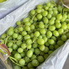 【甜地球】澳洲甜地球青提，无籽青提，果型圆硬度好，入口脆，甜度好！ 商品缩略图1