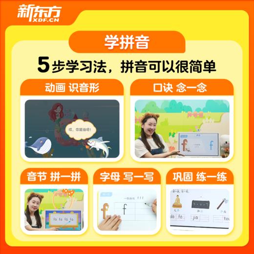 【新东方】预备一年级 五合一 拼音+识字+字母+数学+对话 幼小衔接一盒搞定 商品图3