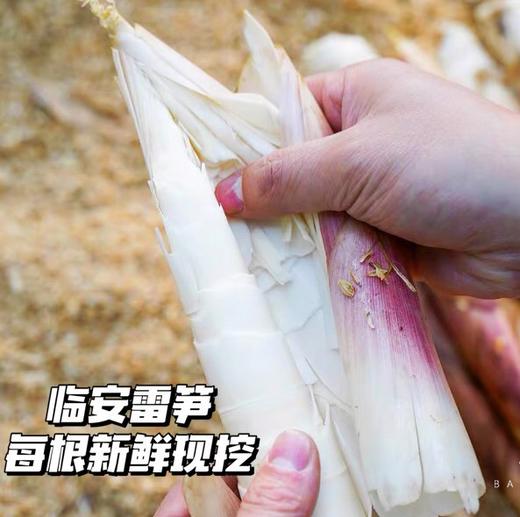 【春笋】仅春季限定产出，临安深山竹林现挖去老根发货，赏味期只有二十天，鲜嫩脆爽，这鲜嫩的程度，吃过才知道~ 商品图1