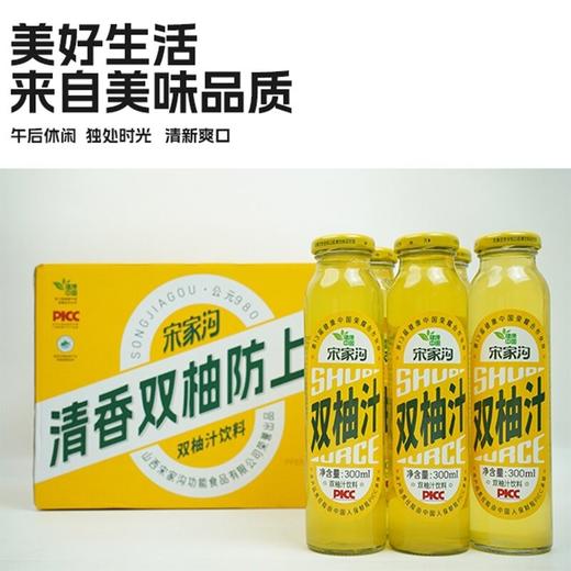 宋家沟玻璃瓶双柚汁4.5kg300ml*15 商品图0