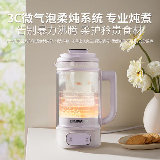 大宇洛神迷你养生壶DY-YS10 商品图1