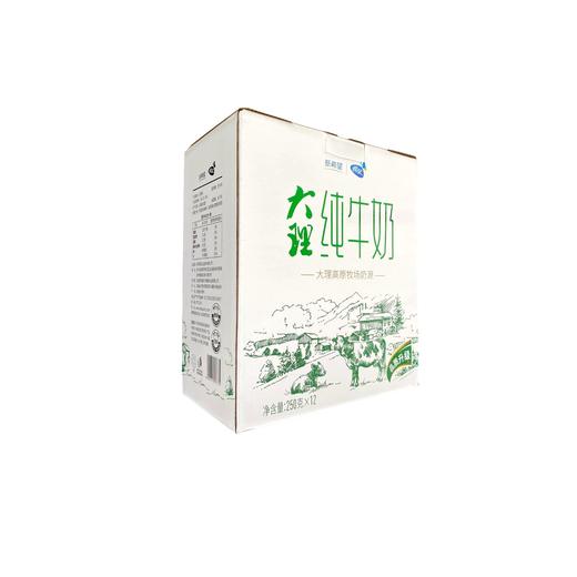 大理纯牛奶250g*12 商品图1
