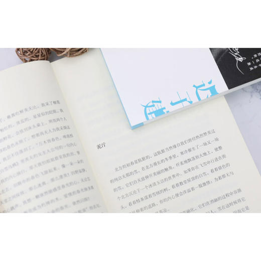光明于低头的一瞬 迟子建 著 散文 商品图1