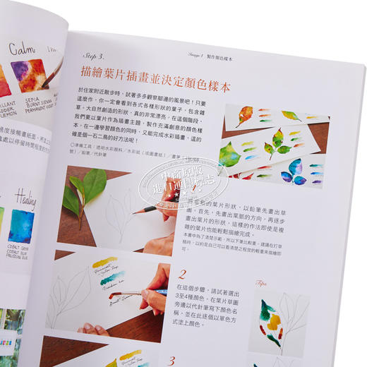 【中商原版】日常的水彩教室：清新温暖的绘本时光(畅销版) 港台艺术原版 Marie Abe 良品文化出版 水彩教学绘画技巧 商品图3