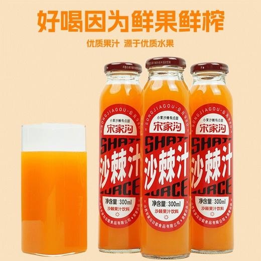 宋家沟玻瓶沙棘果汁红标4.5kg300ml*15 商品图1