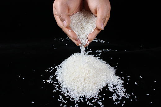 物元农场 有机火山岩大米5斤 当季新米现磨粳米 东北大米 商品图4