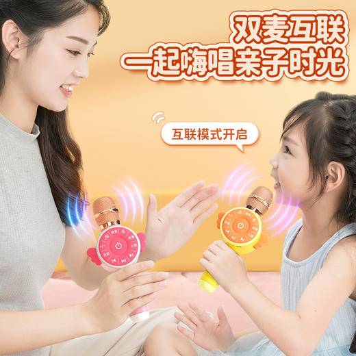 无线儿童话筒音响一体回声麦克风早教唱歌机宝宝小女孩玩具卡拉ok 商品图3