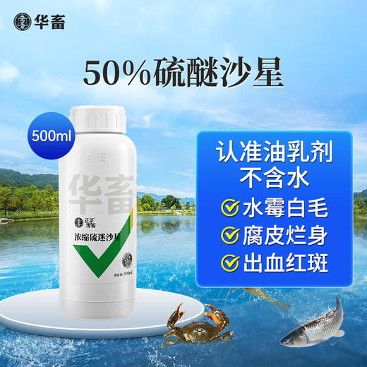 华畜硫醚沙星水产养殖水霉病专治鱼药水霉清白毛病烂身烂尾水霉净 商品图0