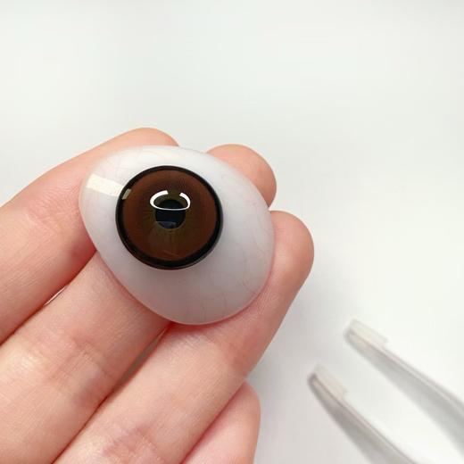 Gugucon半年抛·奶猪猪·14.5mm中大着色·韩产2片 商品图1