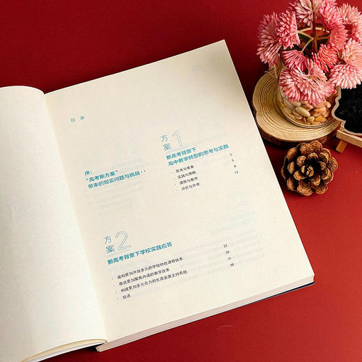 新高考 新方案 大夏书系 教育新思考 凌宗伟 选科指导 走班教学 教学转型 学生生涯规划 职业体验活动指导 华东师范大学出版社 商品图4