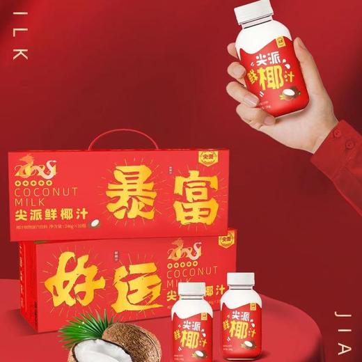 尖派鲜椰汁1件10瓶 商品图2