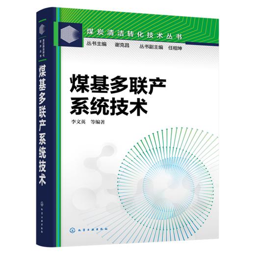 煤基多联产系统技术--煤炭清洁转化技术丛书 商品图10