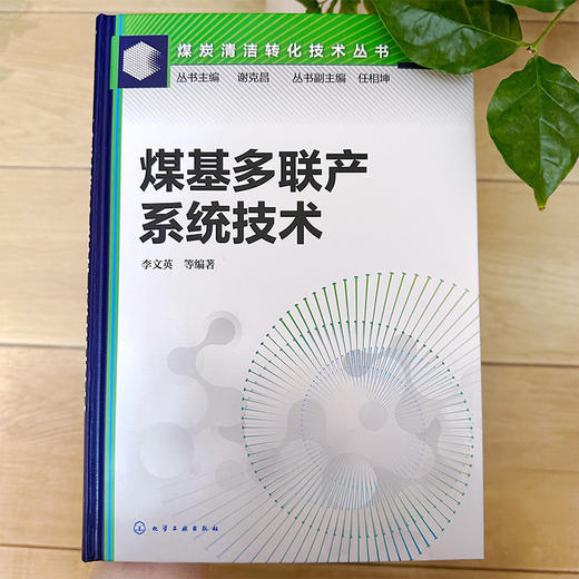 煤基多联产系统技术--煤炭清洁转化技术丛书 商品图5