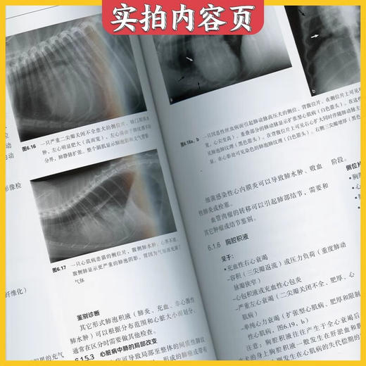 小动物心脏病学【官方正版，可开发票，下单时留开票信息和电子邮箱】 商品图5