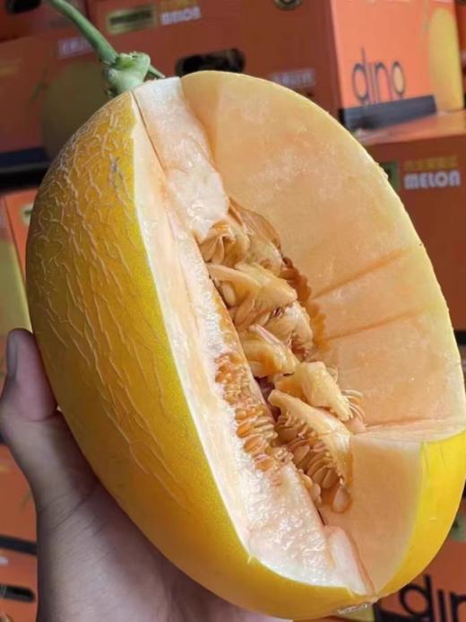 阳光恐龙蛋哈密瓜一箱 商品图4