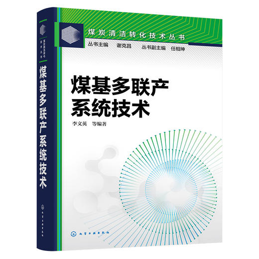 煤基多联产系统技术--煤炭清洁转化技术丛书 商品图4